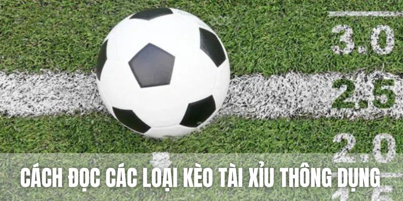 Tại Top88, người chơi có thể dễ dàng tìm thấy nhiều loại kèo tài xỉu