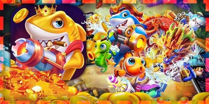 4 bước để bắt đầu hành trình chinh phục đại dương